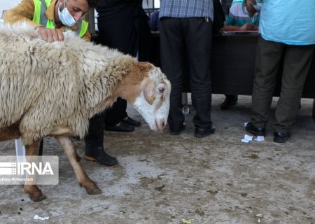 ایجاد ۲۵۰ پایگاه ثابت و سیار برای دریافت نذورات عید قربان در خوزستان