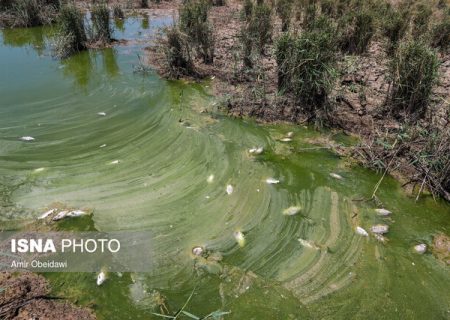 خسارت ۶۶۰ میلیارد تومانی خشکسالی به شیلات خوزستان