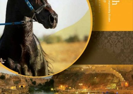 بازی با جان و سلامت مردم در جشنواره زیبایی اسب اصیل عرب خوزستان