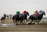 معرفی برترین‌های هفته دوم مسابقات اسب دوانی کشور در اهواز