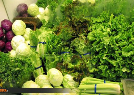 صادرات بیش از ۸۱ هزار تن سبزی و صیفی از خوزستان به کشورهای اتحادیه اوراسیا
