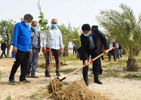 گرامیداشت روز درخت‌کاری در مجتمع بندری امام خمینی(ره)