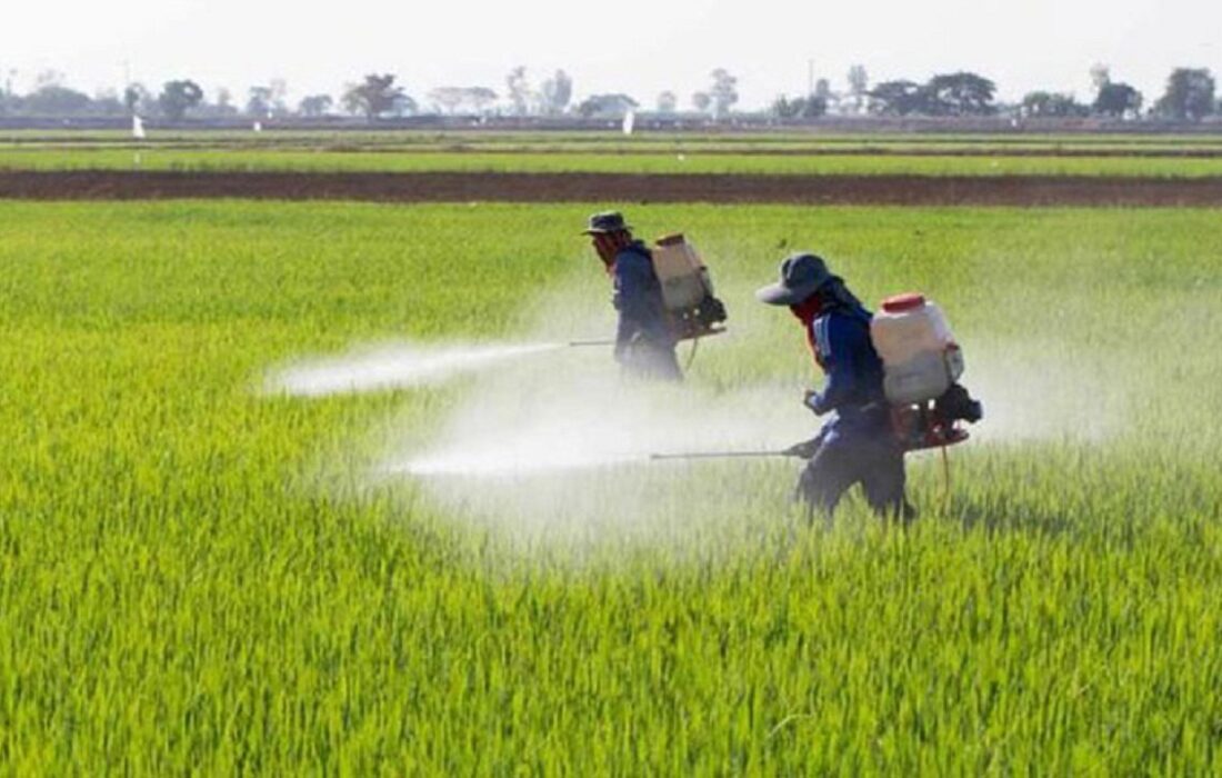توزیع بیش از ۲ هزار لیتر سم کشاورزی میان کشاورزان خوزستانی