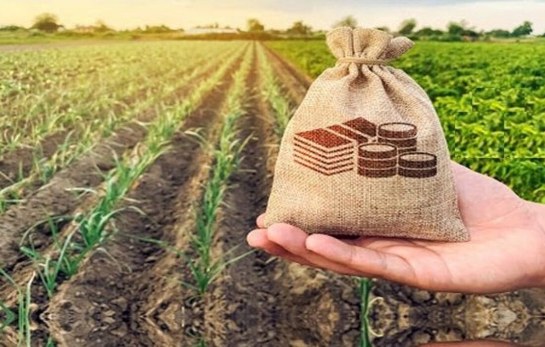 پیش بینی پرداخت ۲ هزار و ۳۰۰ میلیارد ریالی خسارت خشکسالی به کشاورزان خوزستانی