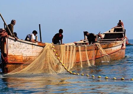 آغاز ممنوعیت صید ماهی حلوا سفید از اول خرداد در خوزستان و بوشهر