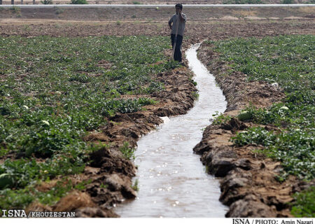 مشکل شوری آب و تاثیر آن بر عملکرد و کیفیت محصولات کشاورزی