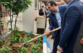 به مناسبت روز درختکاری؛ کاشت نهال توسط مدیرعامل شرکت توزیع برق خوزستان