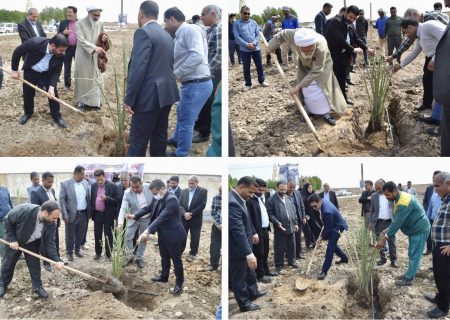 شهردار آبادان : احداث باغ فدک با ۶۰۰ پاجوش نخل آغاز شد