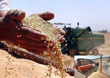 خرید گندم در خوزستان از یک میلیون و ۶۸۲ هزار تن گذشت￼